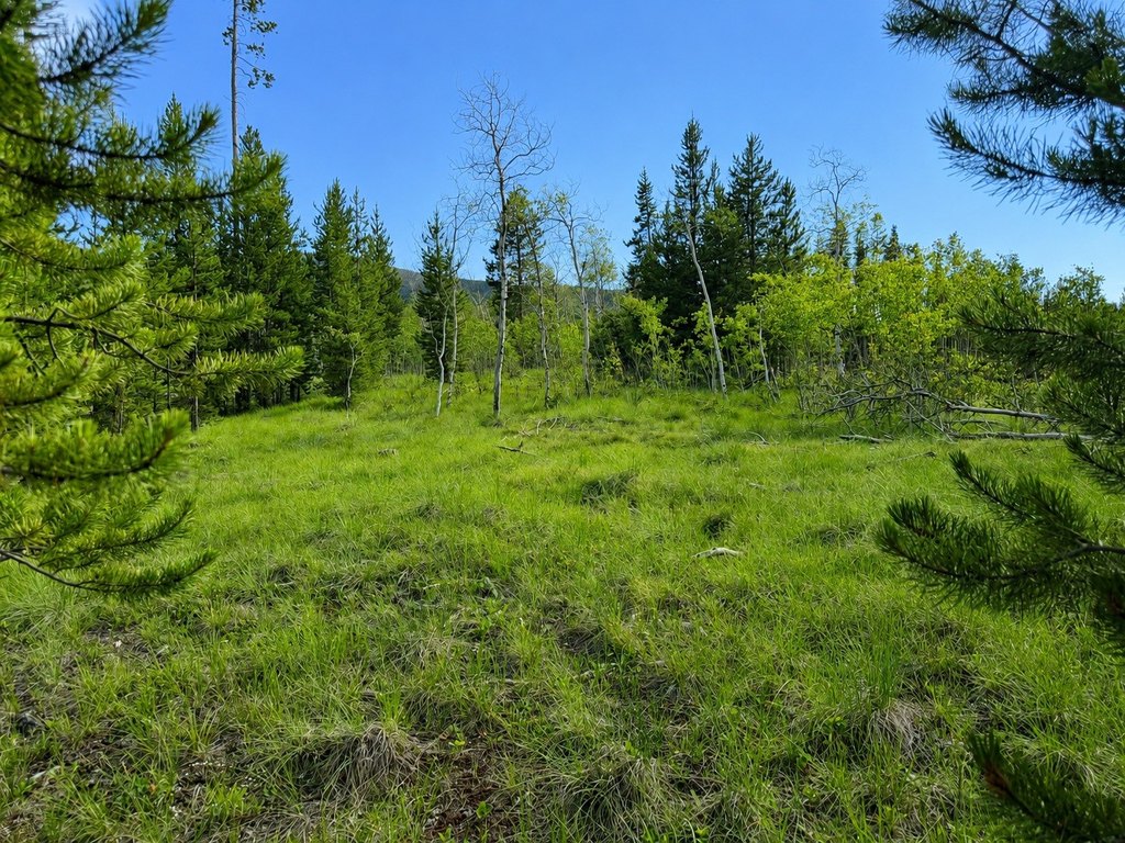 Picture 8