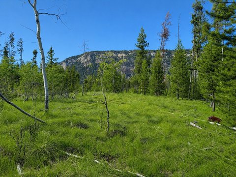 Land, Anaconda, MT