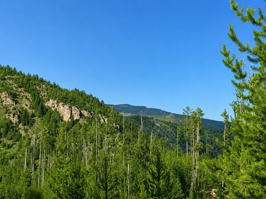 Picture 9