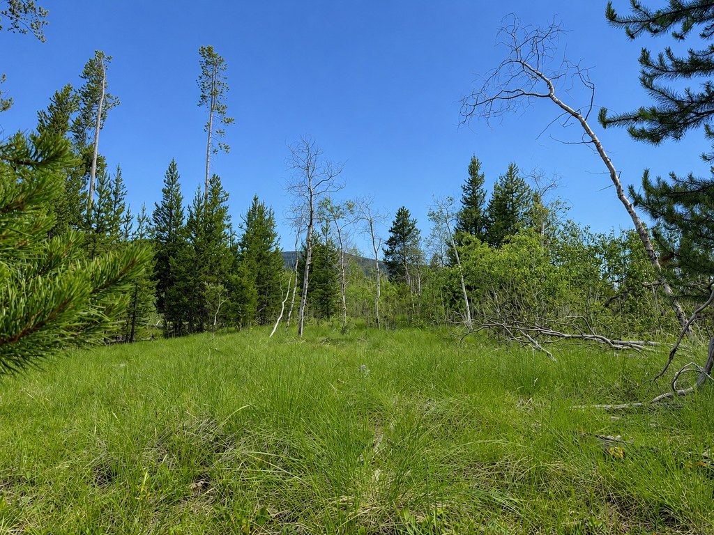 Picture 6