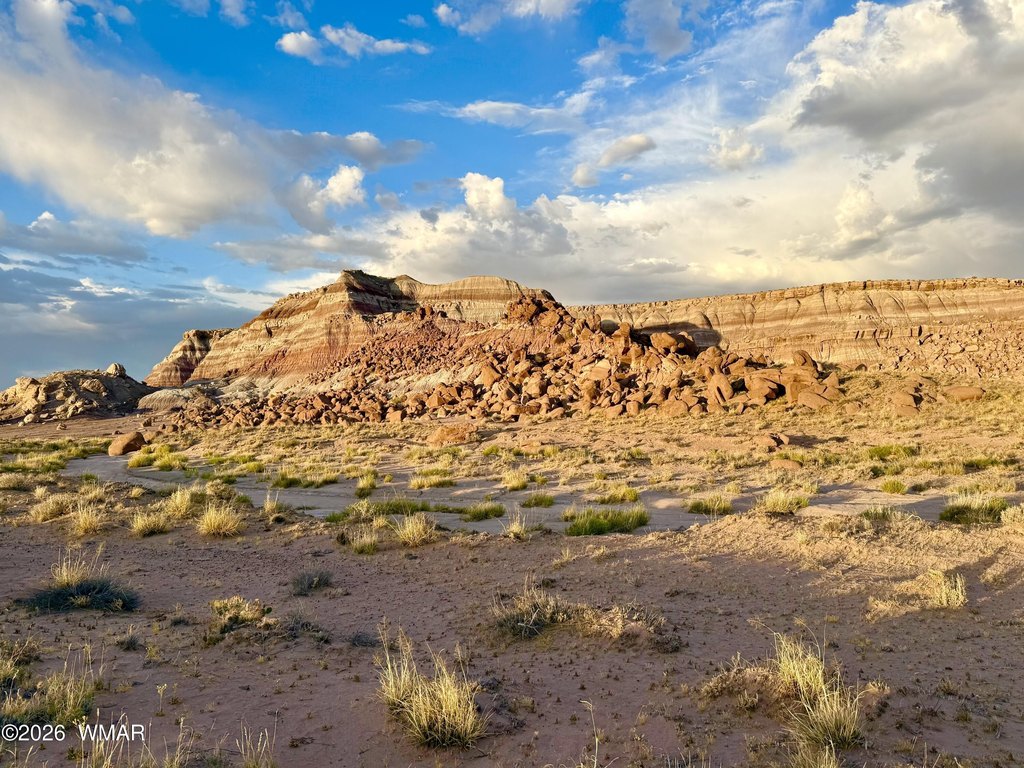 Picture 19