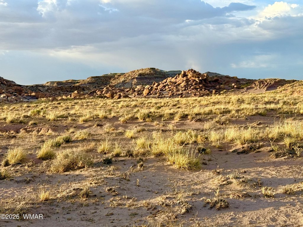 Picture 16
