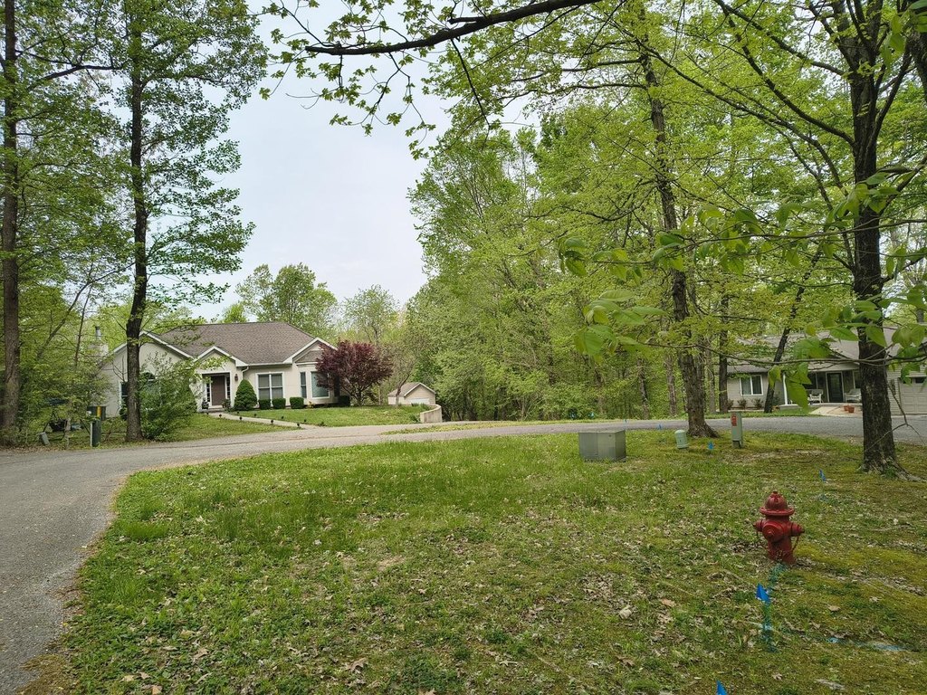 Picture 9