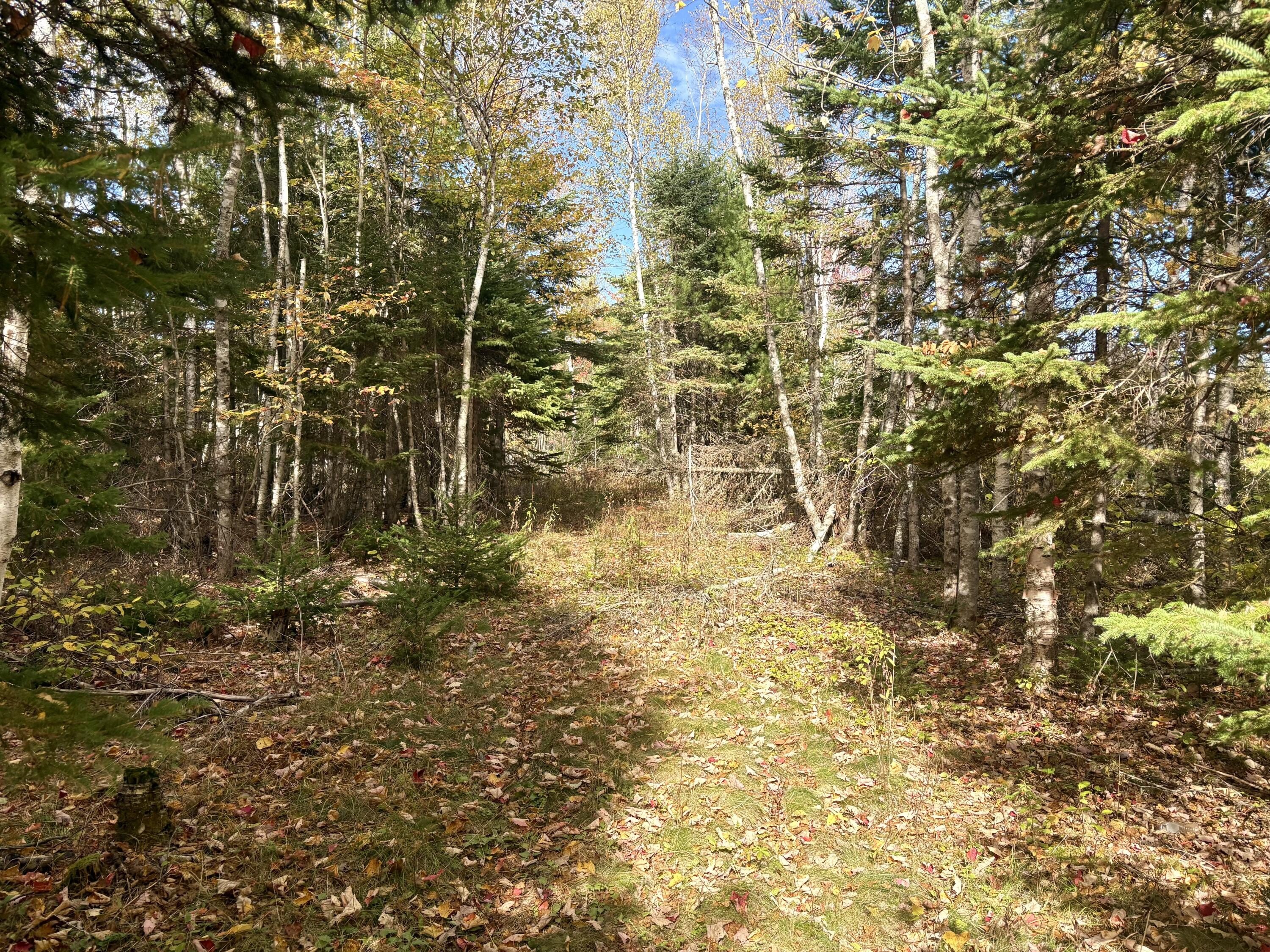 Perry, ME Land For Sale