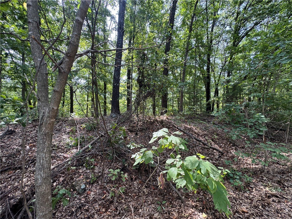 Picture 14