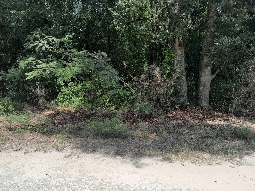 Picture 3