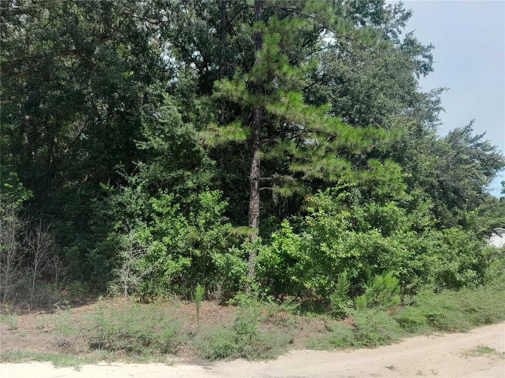 Picture 4