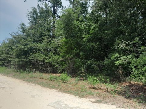 Morriston, FL Land For Sale
