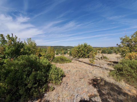 Land in Pinedale, Arizona