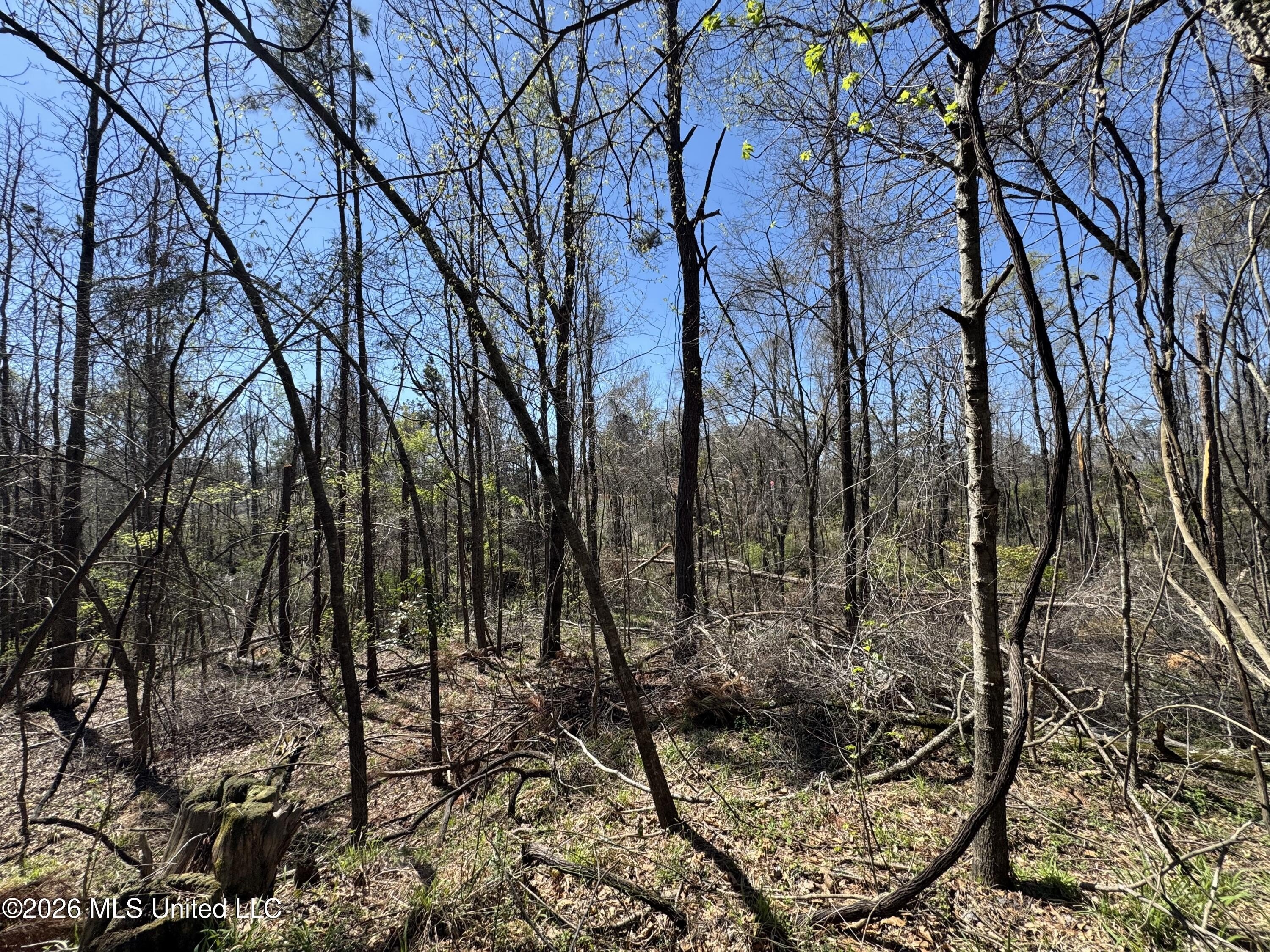 Holmes County Recreational Land