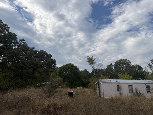 Picture 3