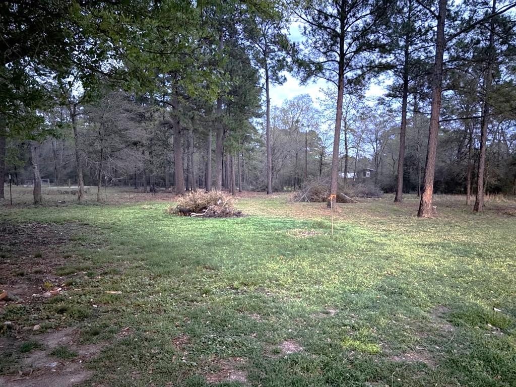 Homesite Ready Land in Crockett