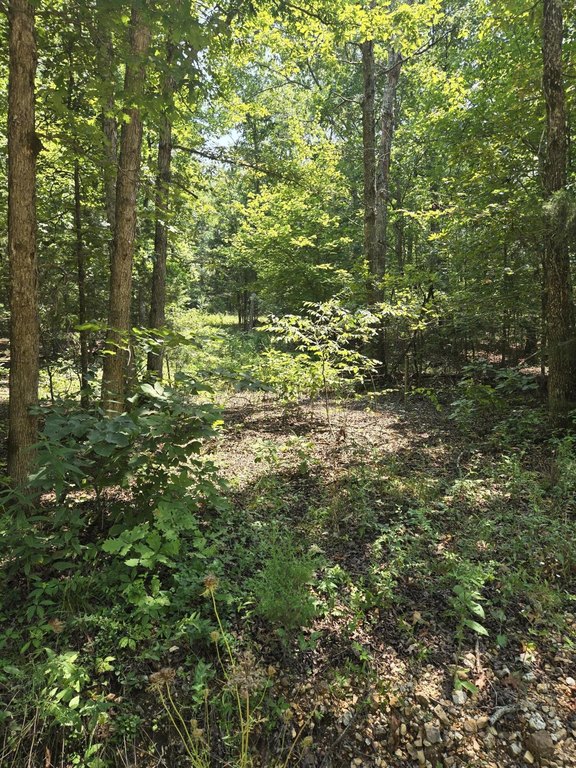 Picture 6
