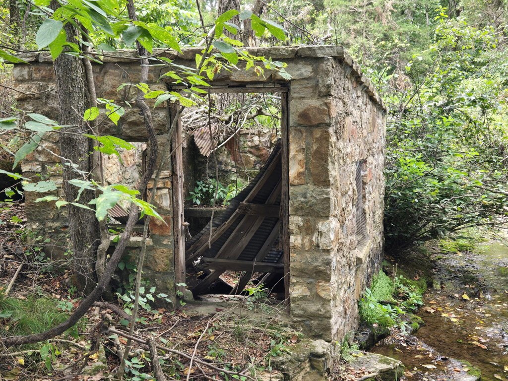Picture 6
