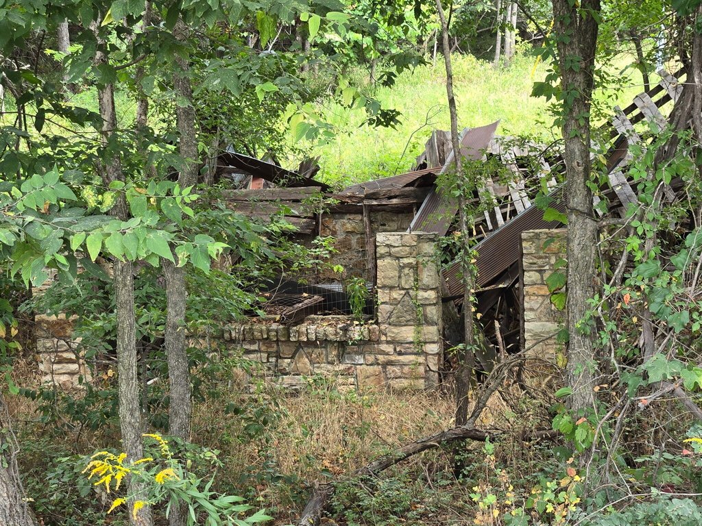 Picture 15
