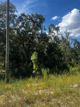 Land, WEEKI WACHEE, FL