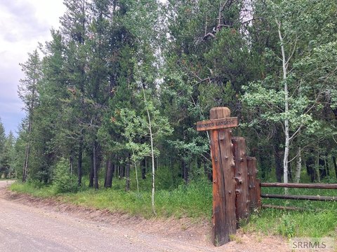 Forested Lot Near Yellowstone Park