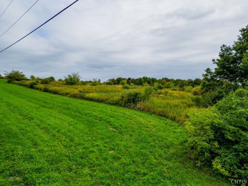 Picture 8