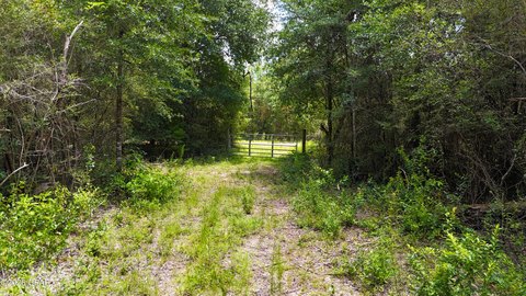 LAND - Fountain, FL