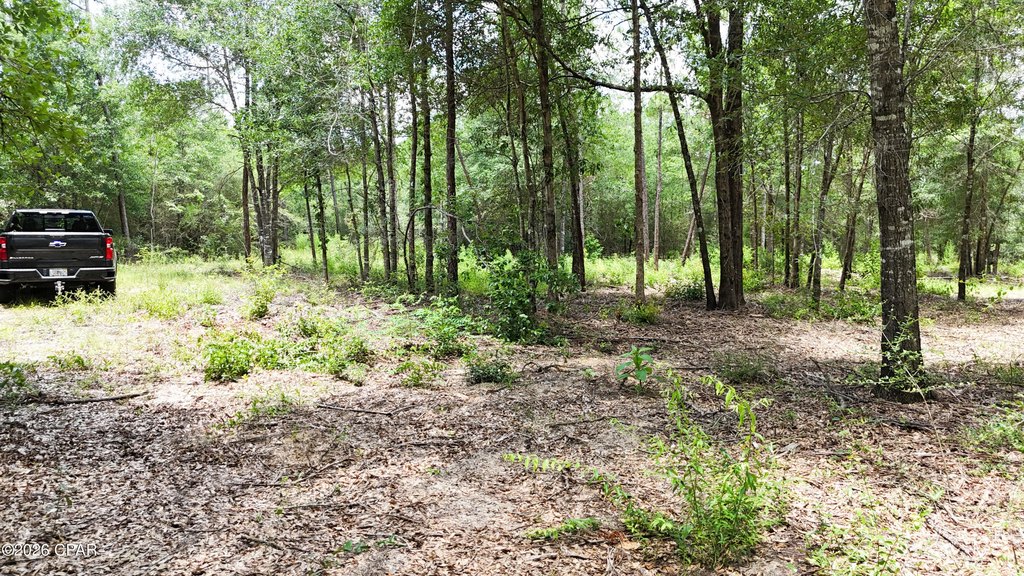 Picture 16