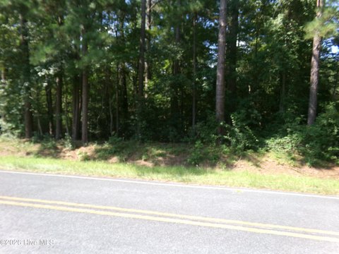 LAND - Clarkton, NC