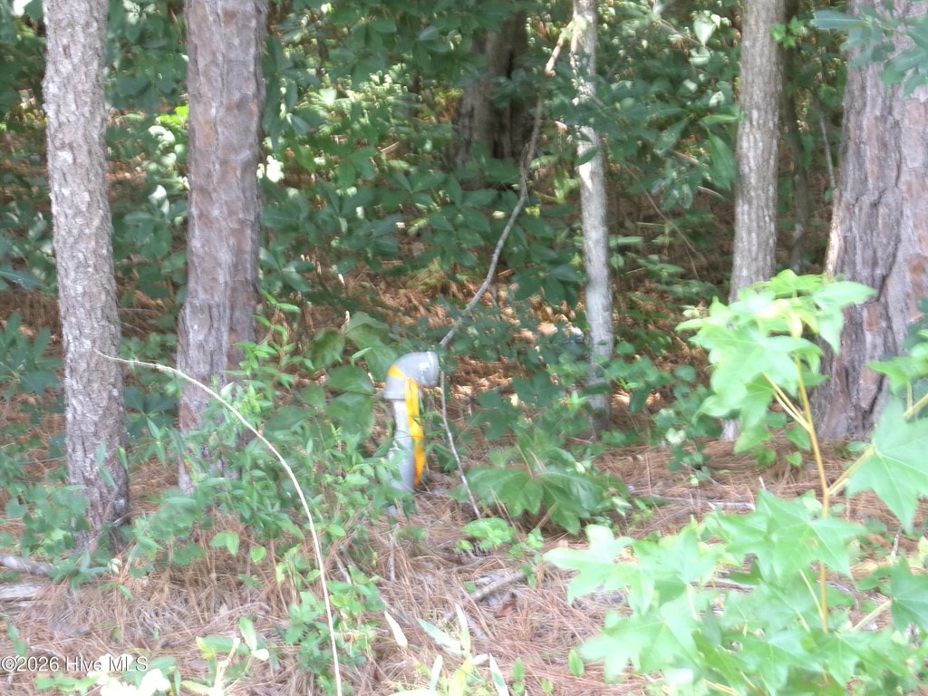 Picture 2
