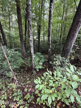 Land, Murphy, NC