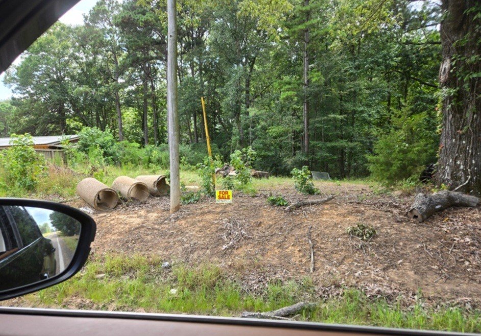 Picture 2