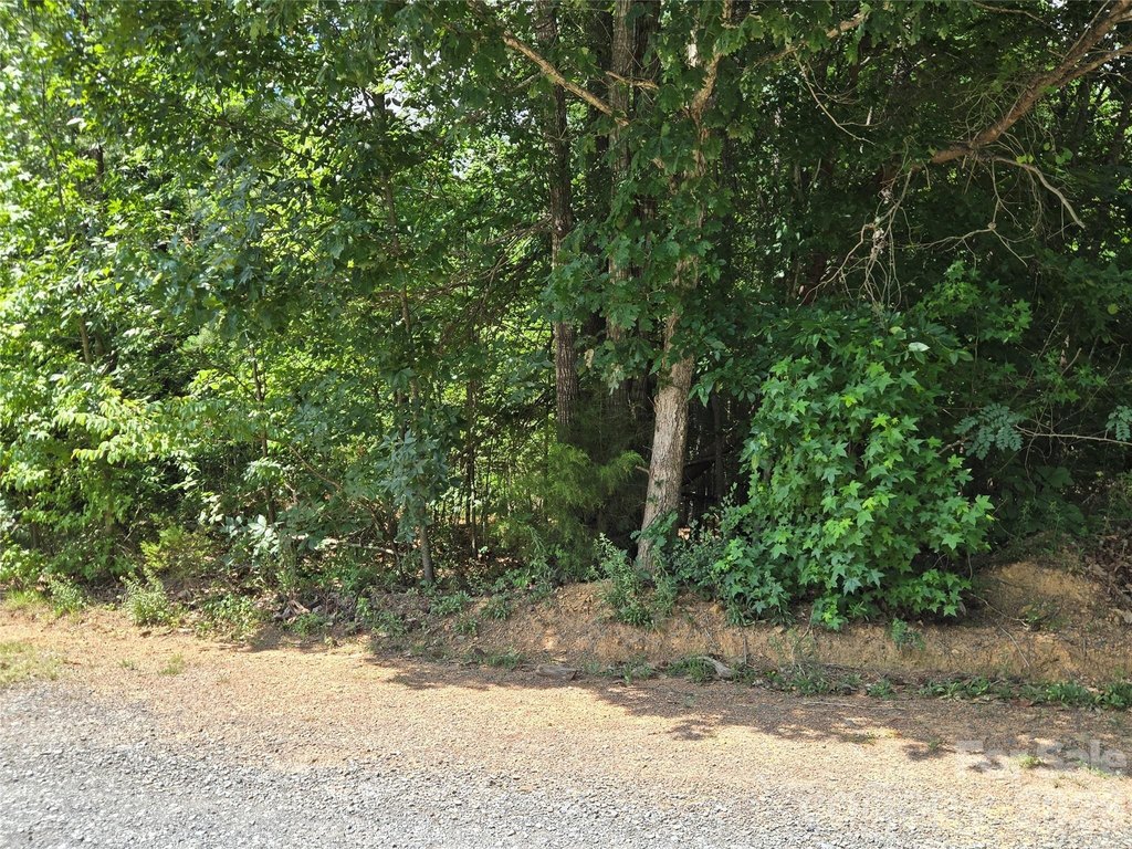 Picture 13