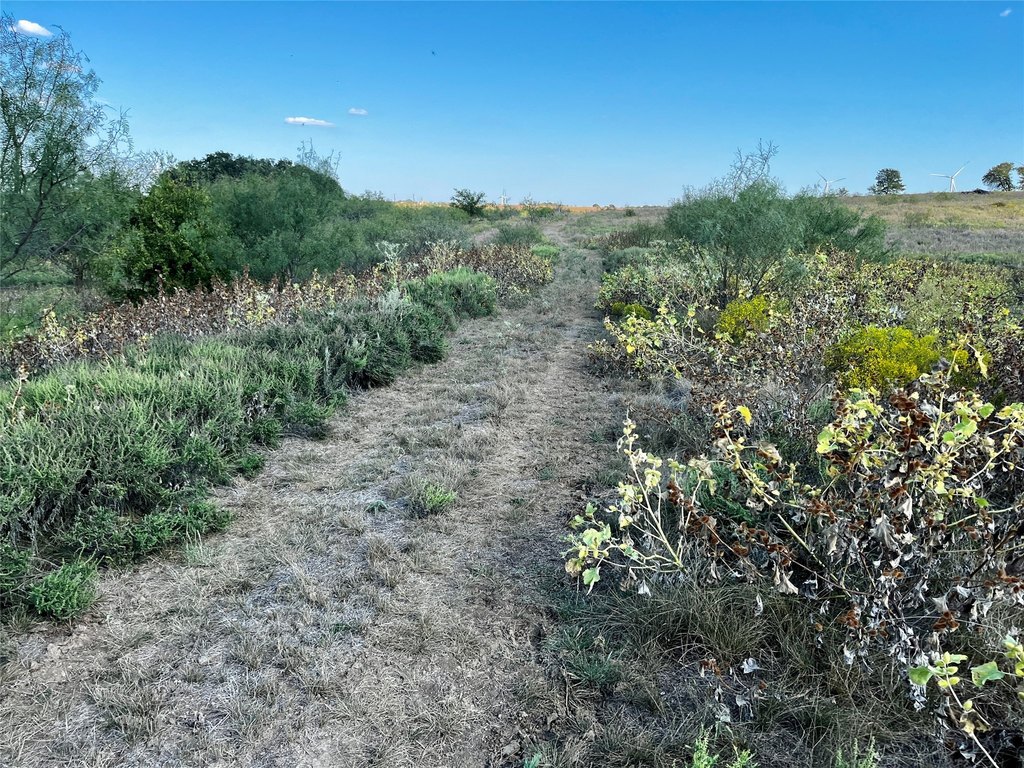 Picture 22