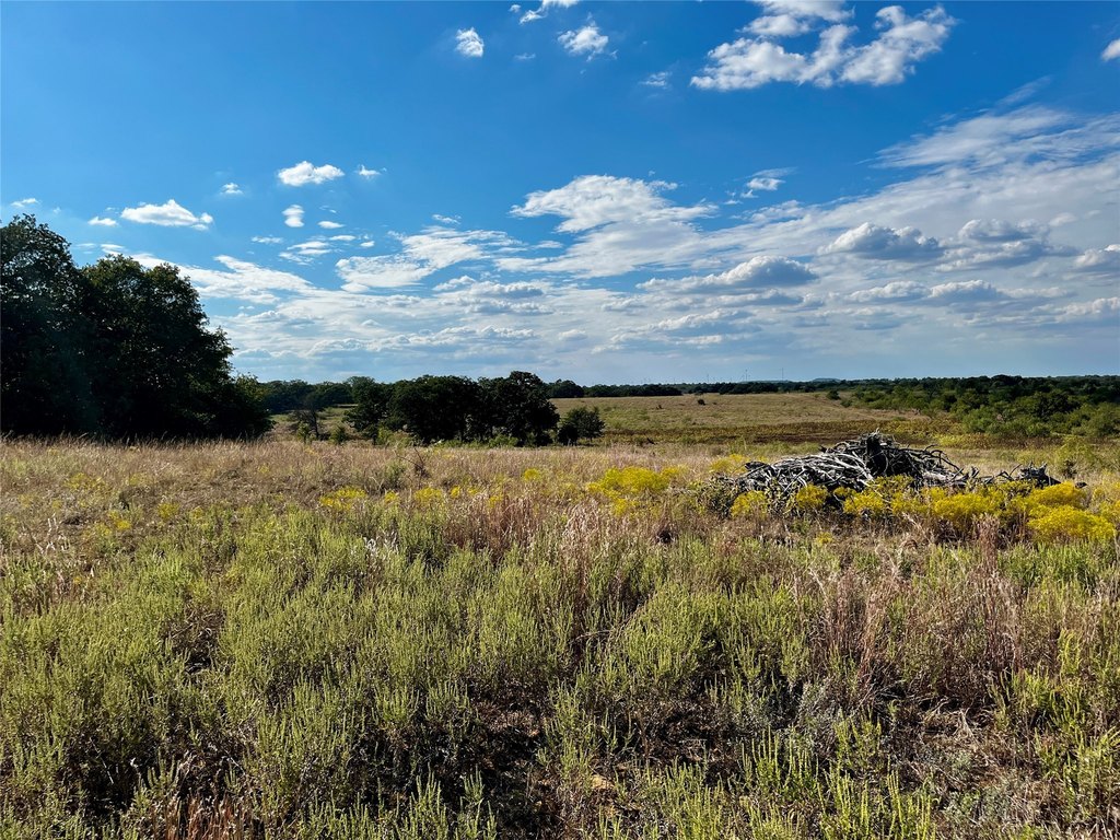 Picture 25