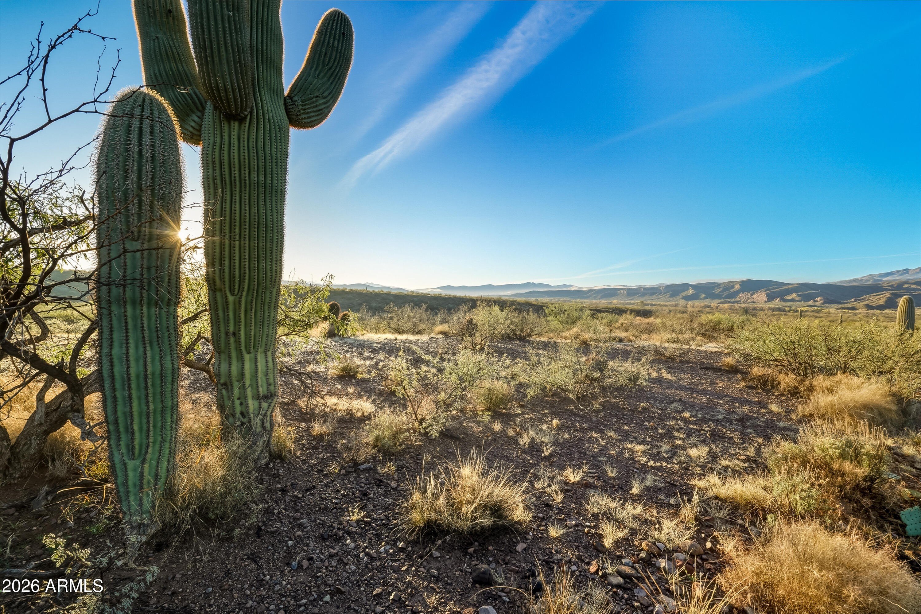 Benson, AZ Desert Land
