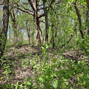 LAND - Janesville, WI