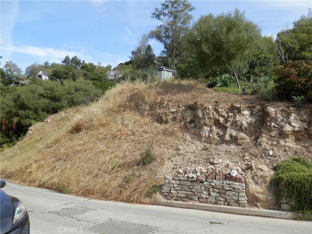 Picture 10