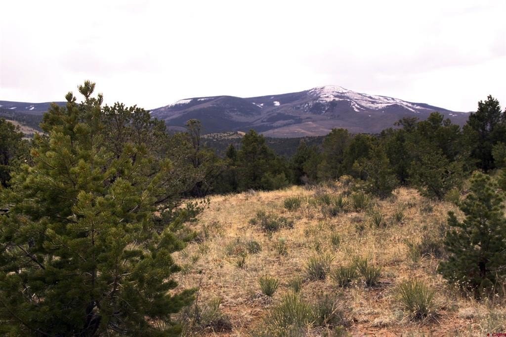 Land in South Fork, CO