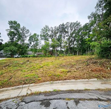 LAND - Decatur, AL