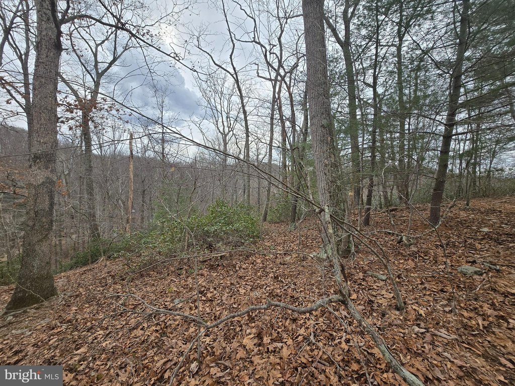 Picture 16