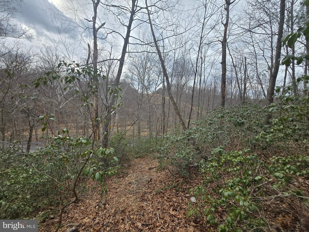 Picture 18