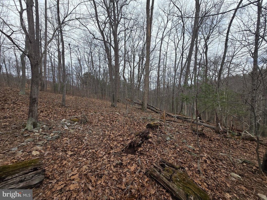 Picture 15
