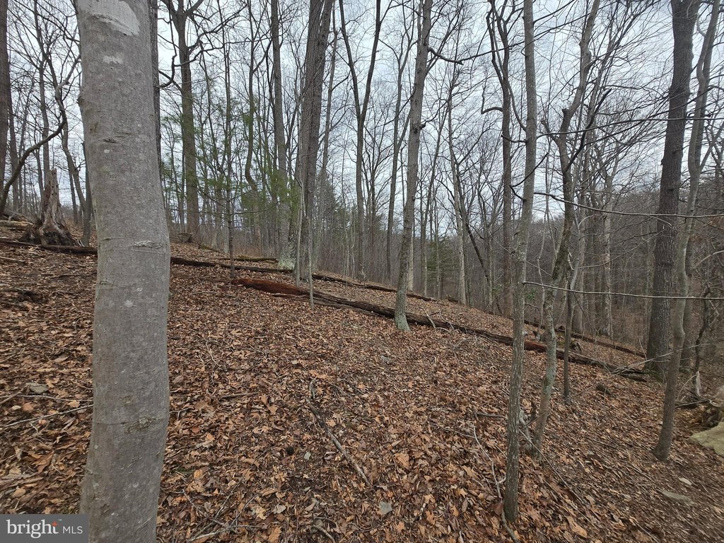 Picture 12