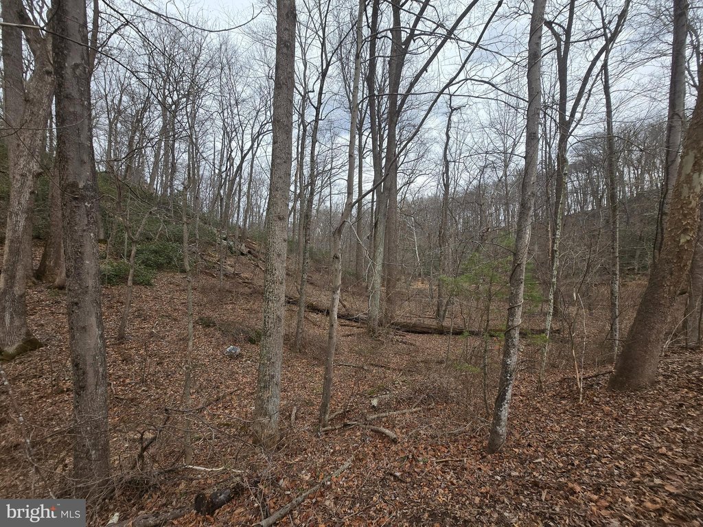 Picture 21