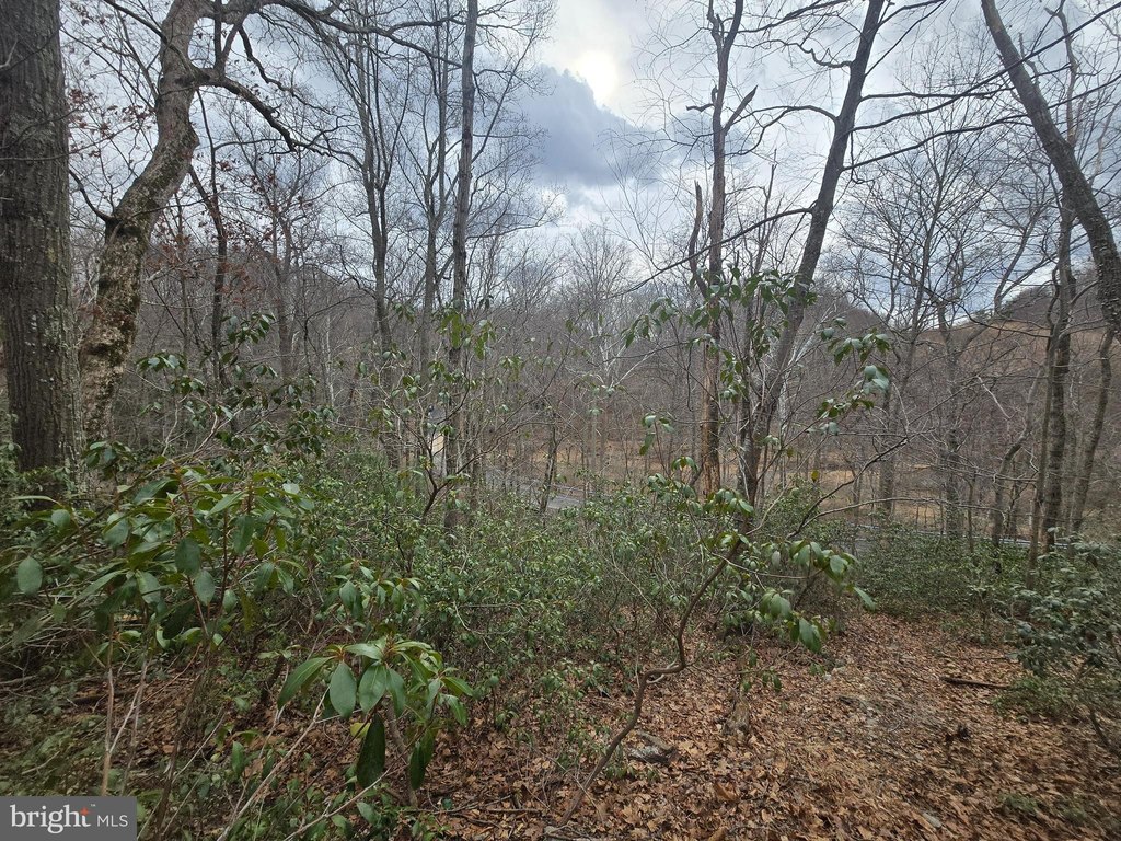 Picture 17
