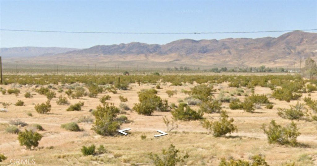 Picture 7