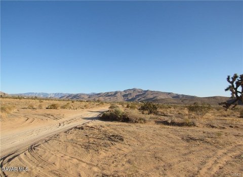 Apple Valley Land For Sale