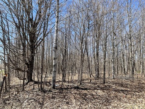 Residential Lot in Lakes of North