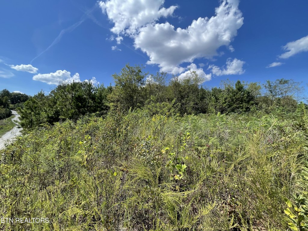 Picture 21