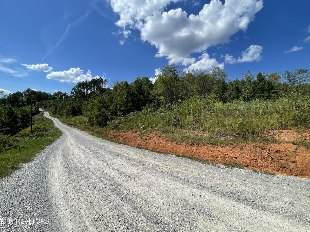 Picture 17