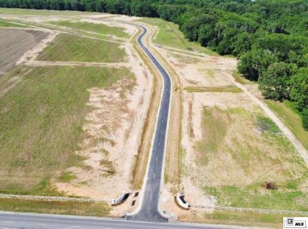 Picture 17