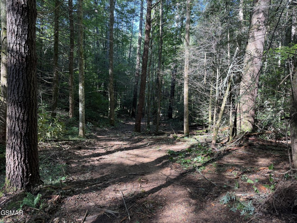 Picture 22