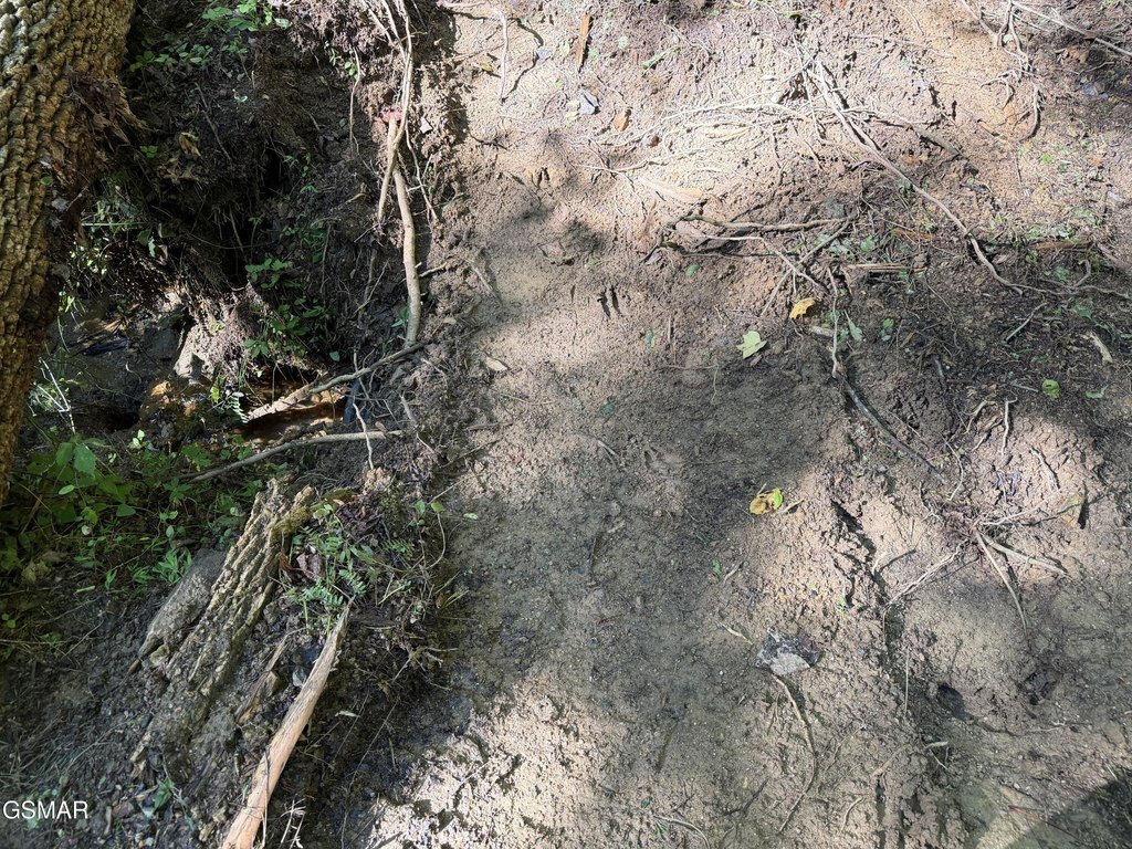 Picture 26